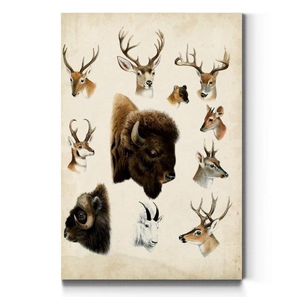 Renditions Gallery AZ-PortAmls04-tto-WC22-144300Z-...