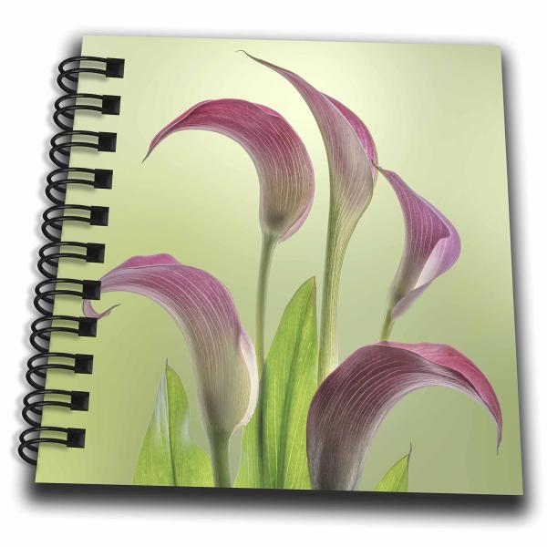 3dRose USA, Washington State, Seabeck. Calla Lily ...