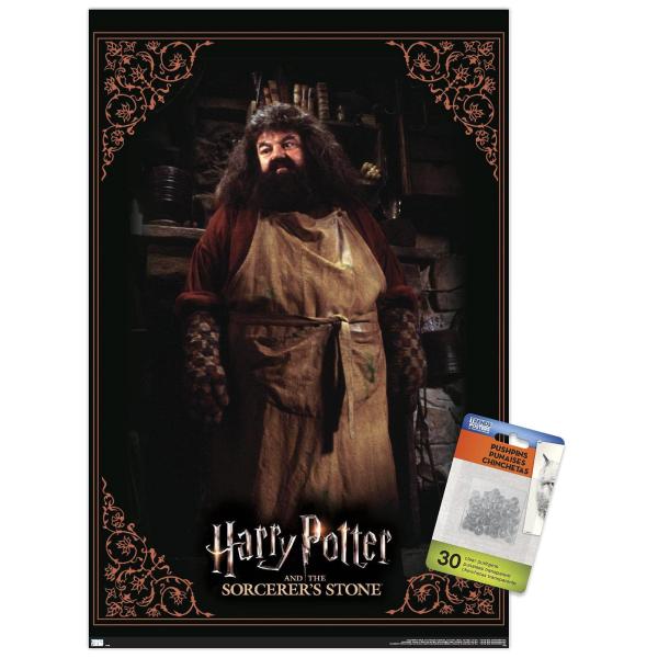 Harry Potter and the Sorcerer's Stone - Hagrid Coo...