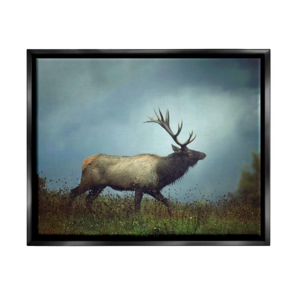 Stupell Industries Serene Elk in Nighttime Clearin...