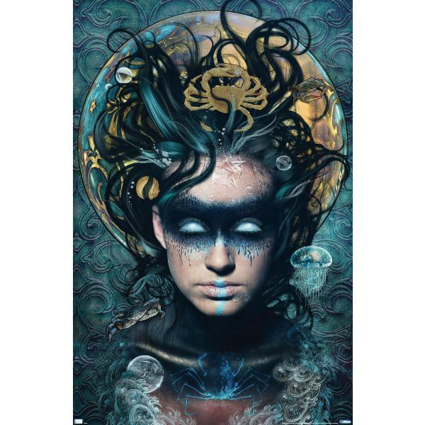 Trends International Jena DellaGrottaglia: Cosmic ...