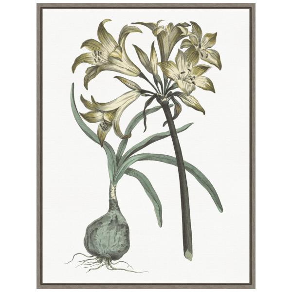 Amanti Art Framed Canvas Wall Art 24x18 Vintage Fl...