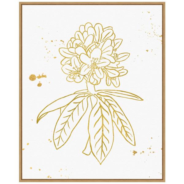 Amanti Art Framed Canvas Wall Art 28x23 Gold Bloom...