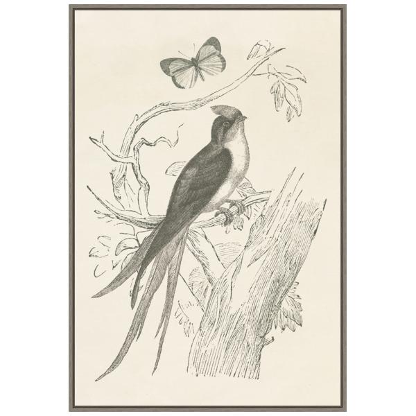 Amanti Art Framed Canvas Wall Art 33x23 French Bir...