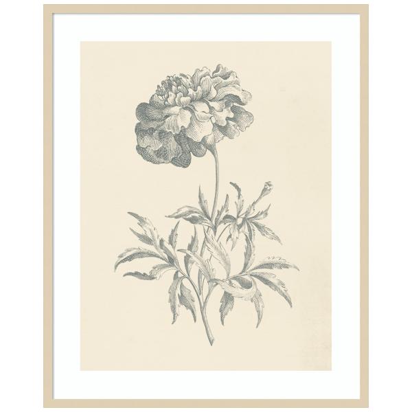 Amanti Art Framed Wall Art Print 41x33 Eden Floral...