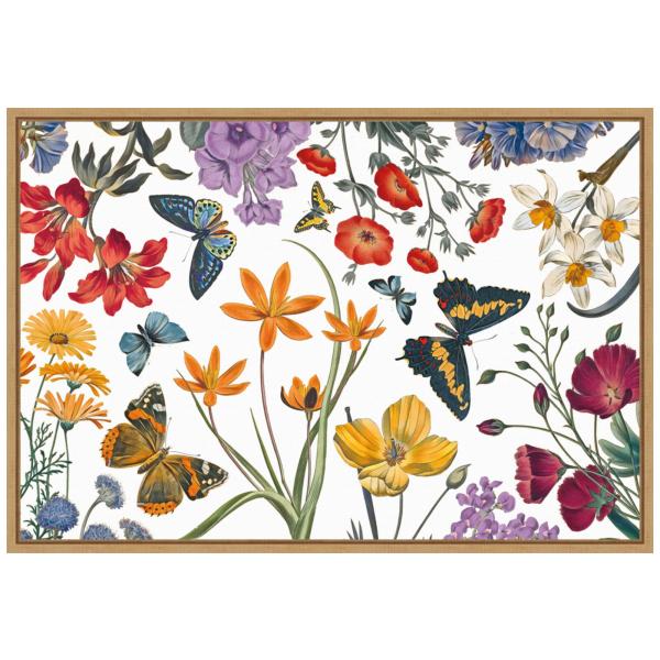 Amanti Art Framed Canvas Wall Art 16x23 Butterfly ...