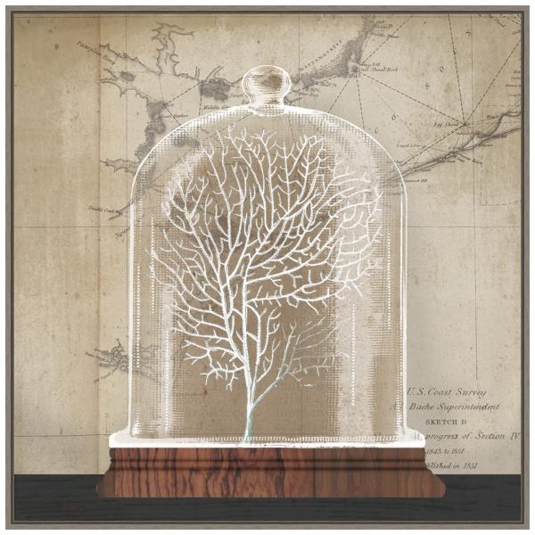 Amanti Art Framed Canvas Wall Art 30x30 Coral Cloc...