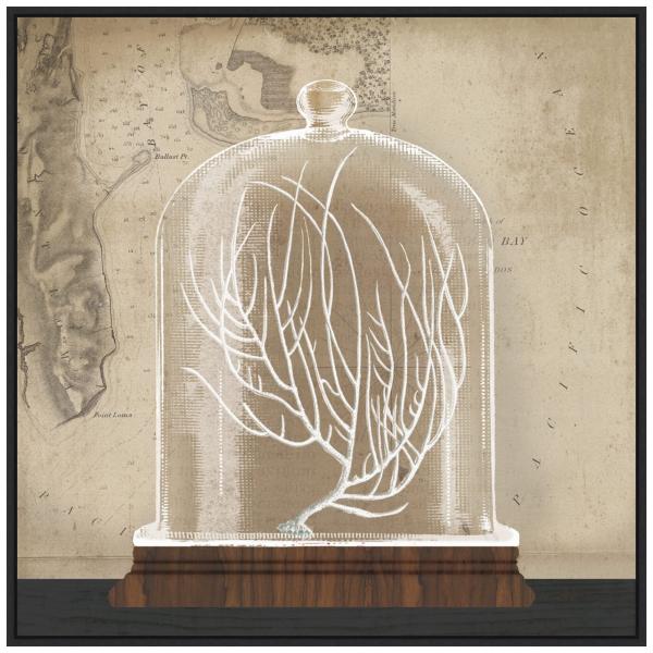 Amanti Art Framed Canvas Wall Art 30x30 Coral Cloc...