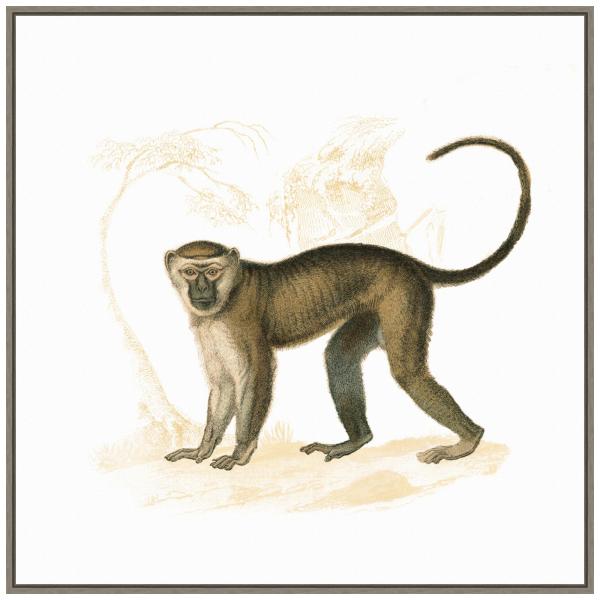 Amanti Art Framed Canvas Wall Art 30x30 Golden Mon...