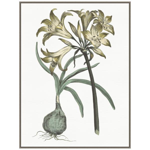 Amanti Art Framed Canvas Wall Art 42x32 Vintage Fl...