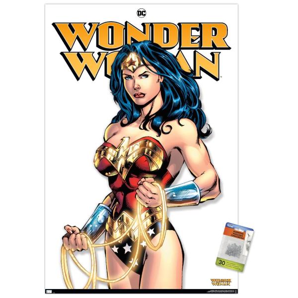 DC Comics - Wonder Woman Feature Series Wall Poste...