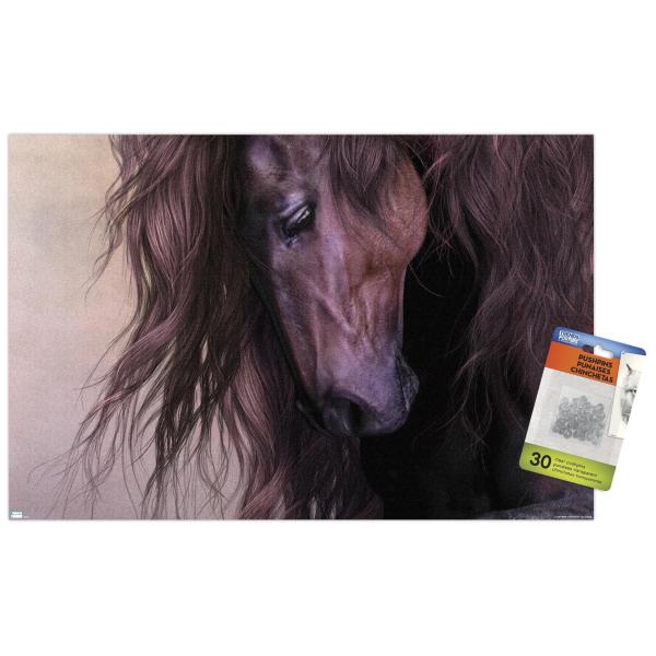 Trends International Laurie Prindle - Equus Wall P...