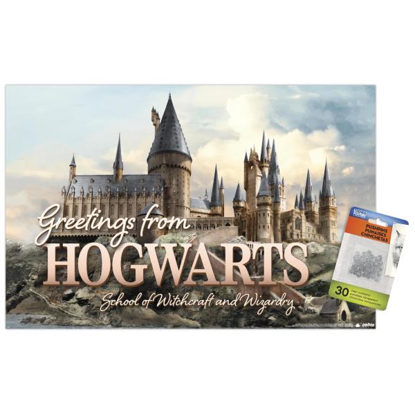 Trends International The Wizarding World: Harry Po...