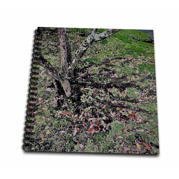 Drawing Book 8 x 8 inch - FALL ROOTS AND BRANCHES ...