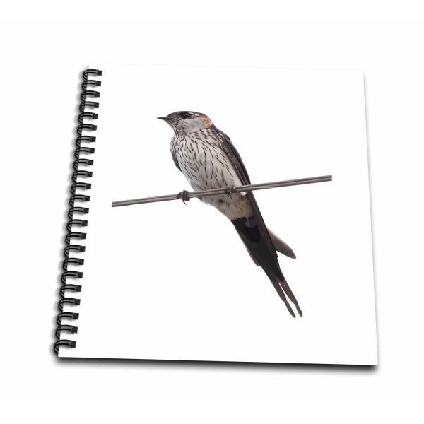 Drawing Book 8 x 8 inch - Bird On A Wire Red-Rumpe...