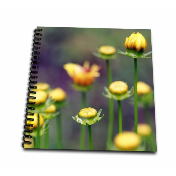 Drawing Book 8 x 8 inch - Macro photgraph of Ticks...