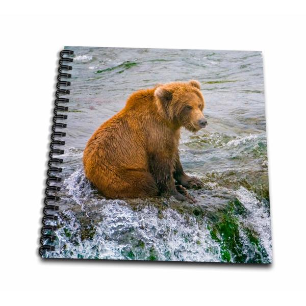 Drawing Book 8 x 8 inch - Alaska, Brooks Falls. A ...