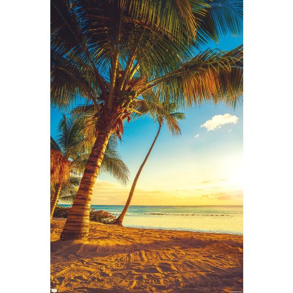 Trends International Scenery - Sunset on the Beach...