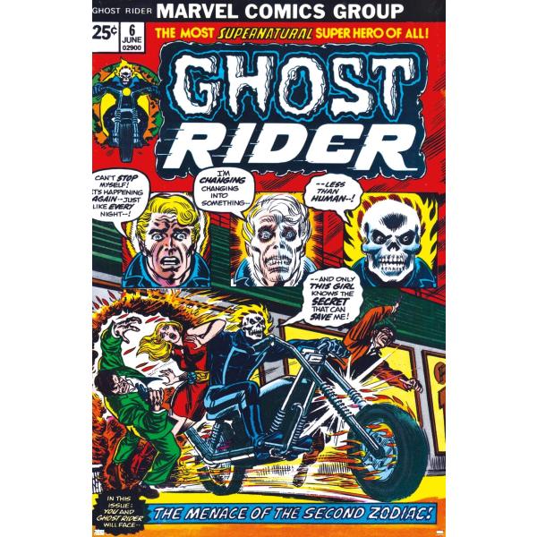 Trends International Marvel Comics Ghost Rider - G...