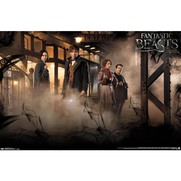 Trends International Fantastic Beasts And Where To...