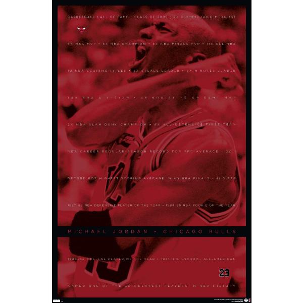 Trends International Michael Jordan - Achievements...