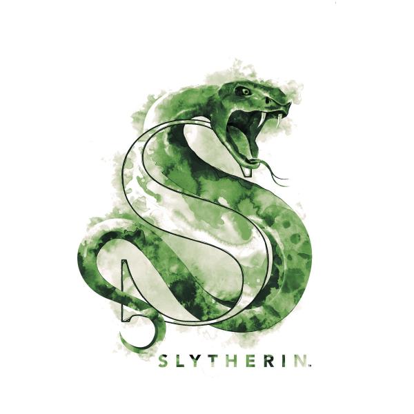The Wizarding World: Harry Potter - Slytherin Illu...