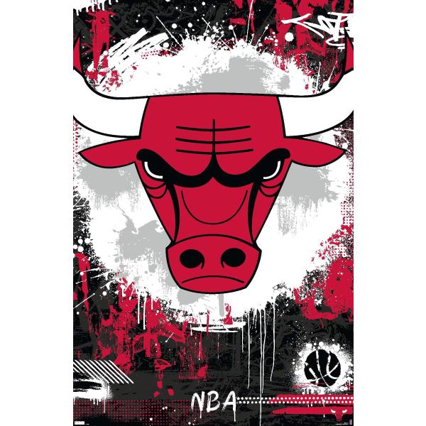 Trends International NBA Chicago Bulls - Maximalis...