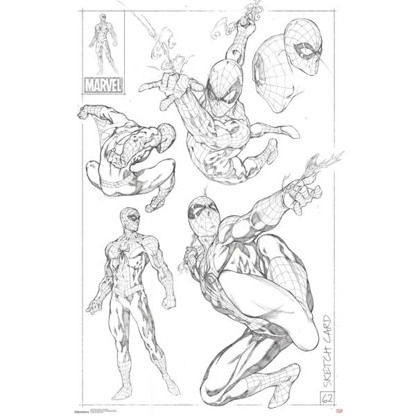 Trends International Marvel Sketch - Spider-Man Wa...