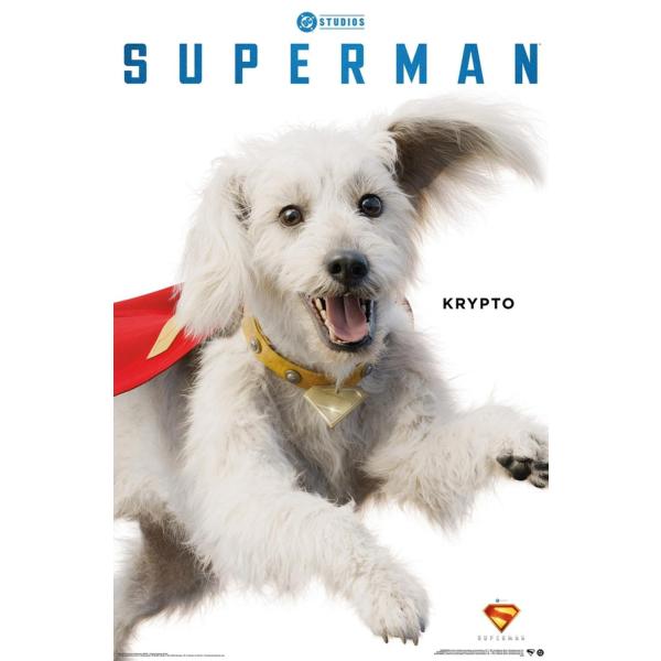 DC Comics Superman (2025) - Krypto Feature Series ...
