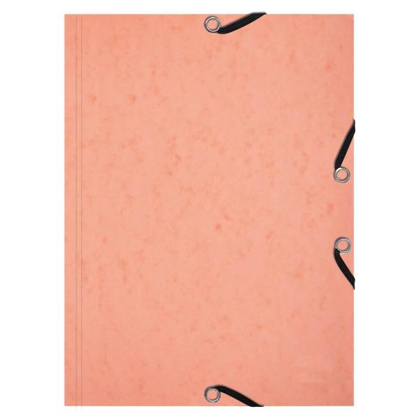 Exacompta - Item no. 555667E - 1 folder with 3 ela...