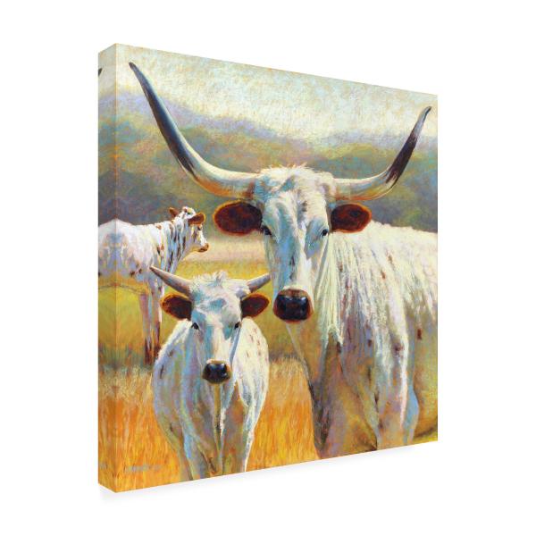 Wrapped Canvas Wall Art - Rita Kirkman 'Dawn of a ...