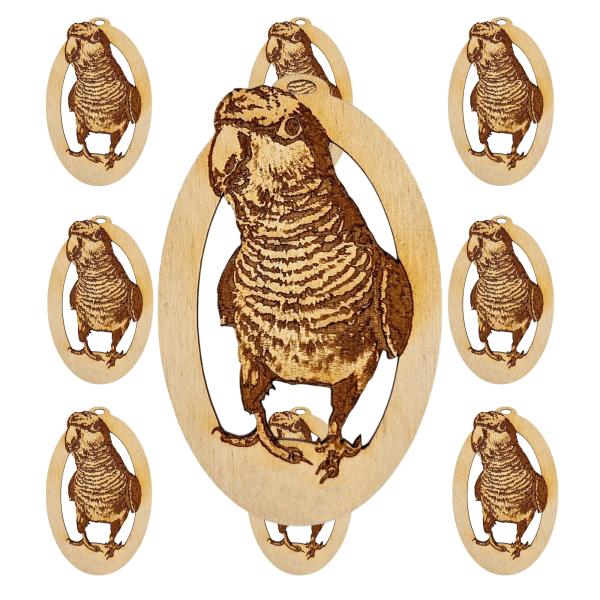 10PK Quaker Ornament, Monk Parakeet Gifts for Bird...