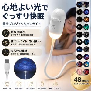 2-in-1 ギャラクシープロジェクター 星空ライト LED プラネタリウム 北極星宇宙ライト 充電式 ナイトライト 寝室 天井 車 パーティー バー インテリア照明