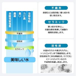 JC0036ST 浄水カートリッジ 浄水器 カ...の詳細画像4