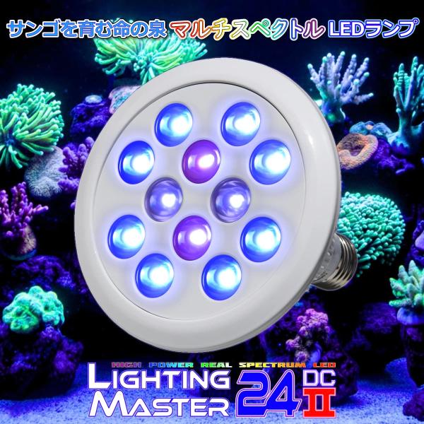 最新仕様【国内組立て】1年保証付 55,000K Lighting Master 24DCII【UV...