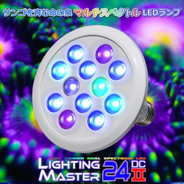 最新仕様【国内組立て】1年保証付 50,000K Lighting Master 24DCII【UV...