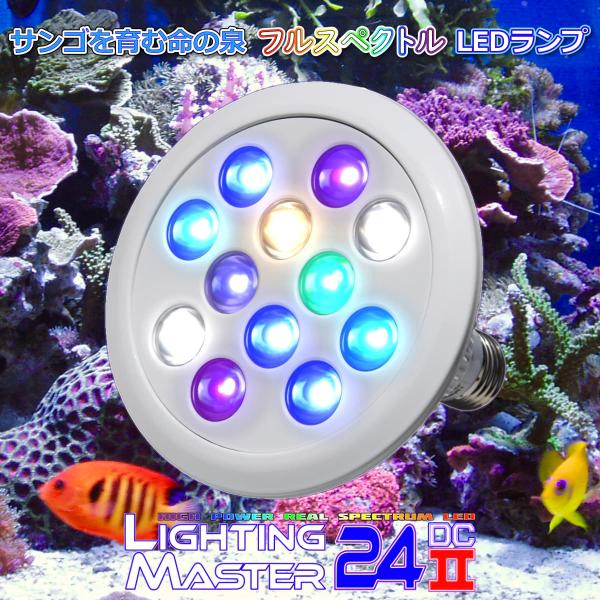 最新仕様【国内組立て】1年保証付 20,000K Lighting Master 24DCII【UV...