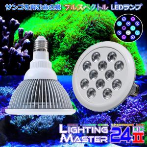 最新仕様【国内組立て】1年保証付 50,000K Lighting Master