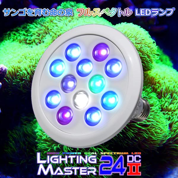 最新仕様【国内組立て】1年保証付 40,000K Lighting Master 24DCII【UV...