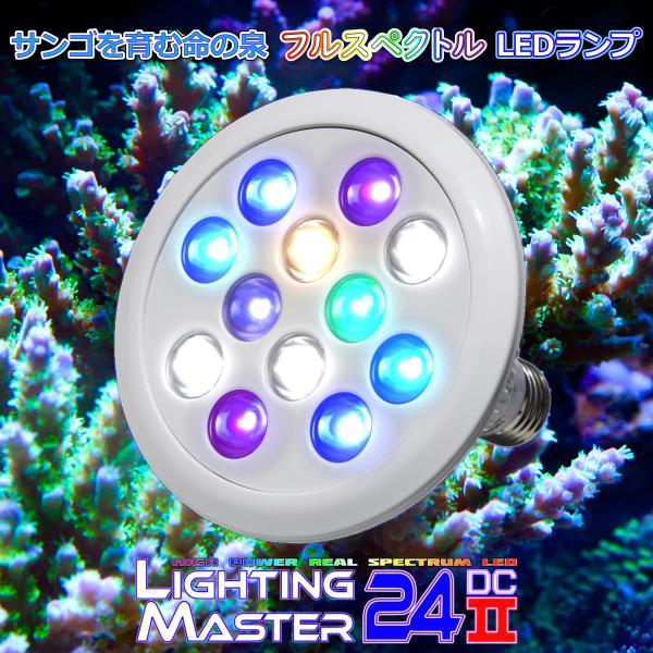 最新仕様【国内組立て】1年保証付 17,000K Lighting Master 24DCII【UV...