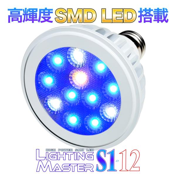 Lighting Master S1-12【マリンブルー】20,000K PSE技術基準適合 高輝度...