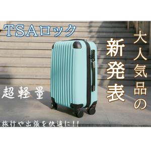 【時間限定・4380円】【2種類からお選べ】送...の詳細画像1