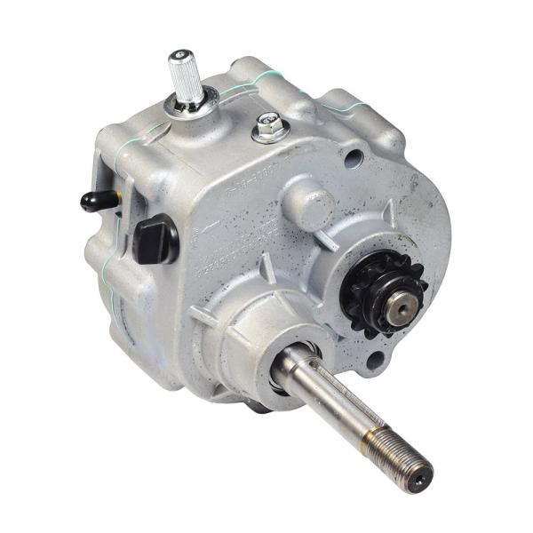 【並行輸入品】AlveyTech リバースギアボックストランスミッション ゴーカート用 TAV2シリ...