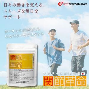 DNS（ディーエヌエス） クレアチンメガローディングα+ レモン風味 210g