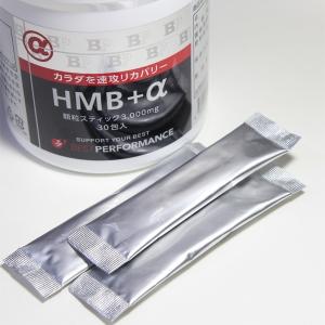 HMB BCAA アミノ酸 顆粒 スティック包...の詳細画像1