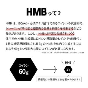 HMB BCAA アミノ酸 顆粒 スティック包...の詳細画像3