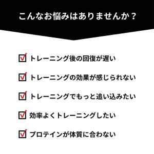 HMB BCAA アミノ酸 顆粒 スティック包...の詳細画像4