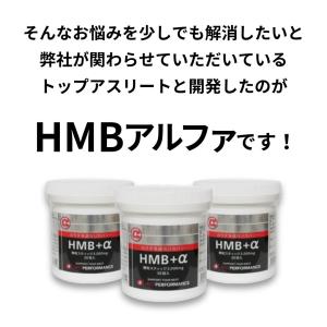 HMB BCAA アミノ酸 顆粒 スティック包...の詳細画像5