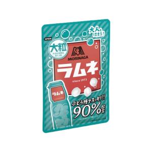 森永製菓 ラムネ大粒 41g ミント、タブレットの商品画像