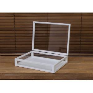 コレクションケース/ディスプレイケース 単品 〔大〕 幅40cm 木製フレーム ガラス製 ホワイト(白) 〔完成品〕 送料無料｜best-value